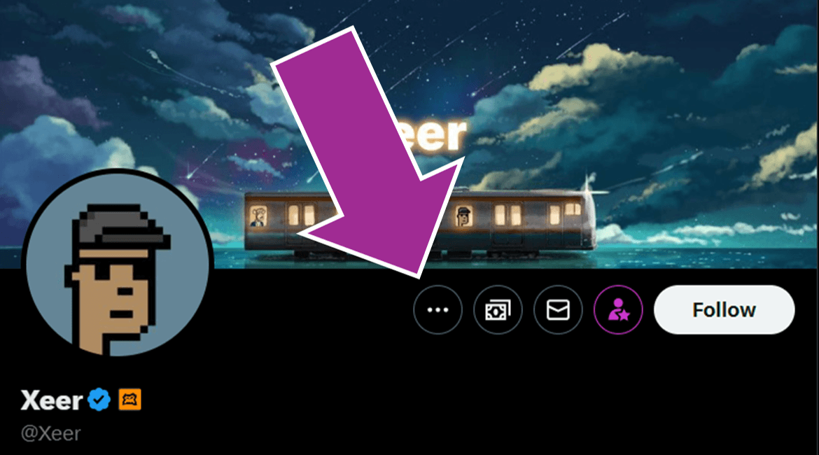 Finding the View Lists menu in a user profile on X