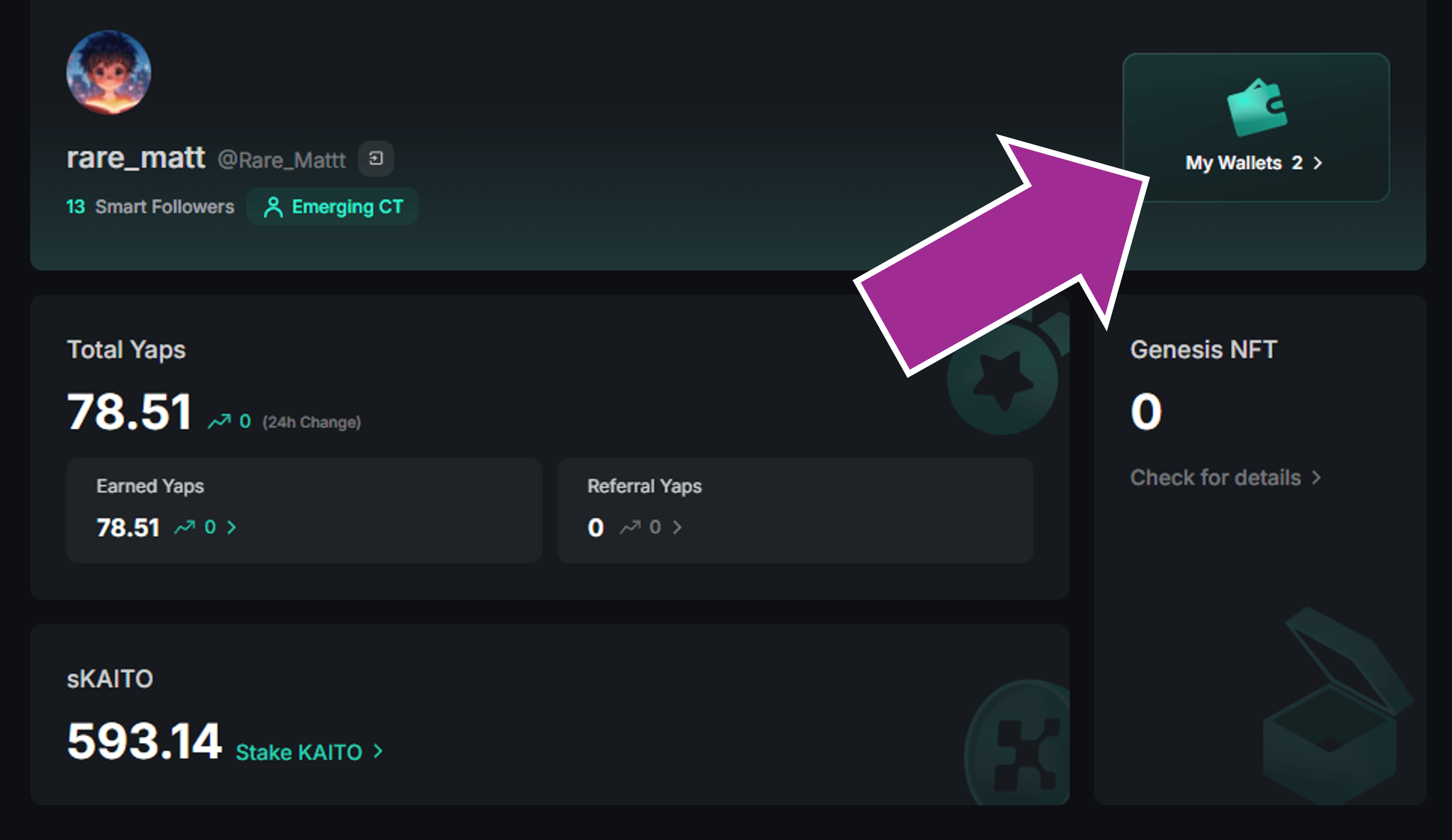 Kaito user portal interface showing wallet connect option